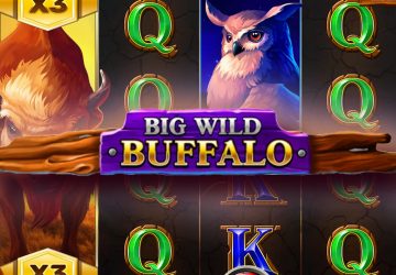 Игра Big Wild Buffalo в All In Casino