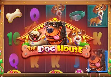 Игра The Dog House в All In Casino